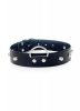 Fetish Boss Series Collar with studs 3 cm